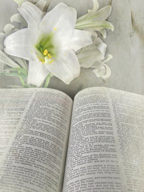 İncil'de Paskalya lily ile