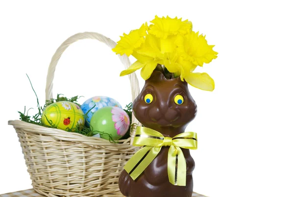 Daffodils in chocolate Easter bunny — Stock Photo, Image