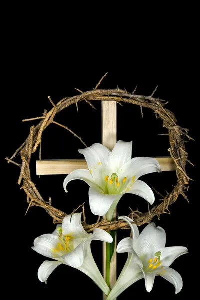 Wielkanoc Lilie — Zdjęcie stockowe