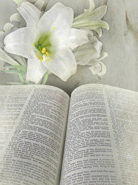 Bíblia Sagrada com lírio da Páscoa — Fotografia de Stock