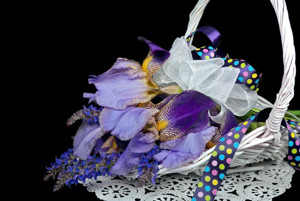 Purple Iris Bouquet — Stock Photo, Image