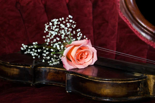 Rosa sobre violín vintage —  Fotos de Stock