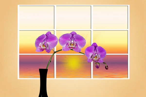 Tallo de orquídea en jarrón — Foto de Stock