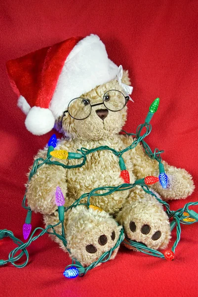 Teddybär-Wirrwarr — Stockfoto