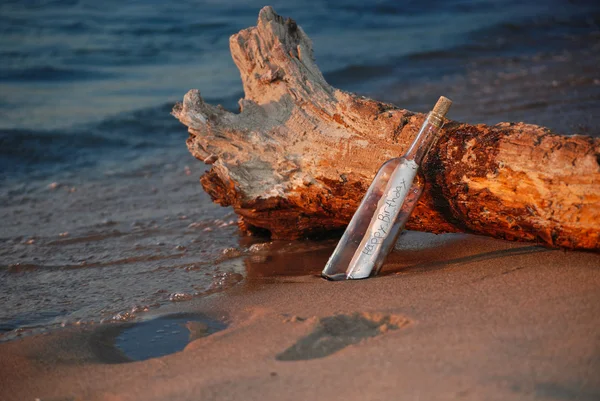 Dalgaların karaya attığı odun şişe — Stok fotoğraf