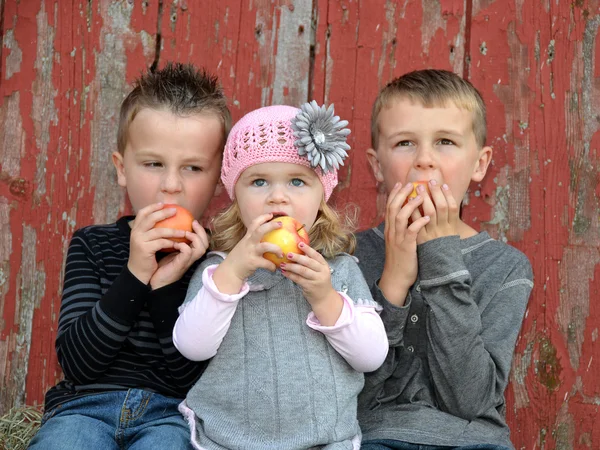 Crianças comendo maçãs — Fotografia de Stock