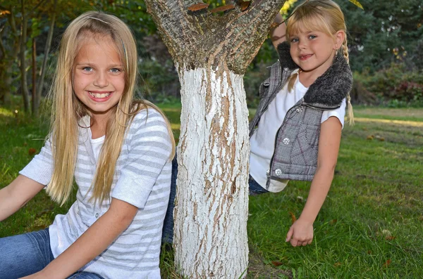 Irmãs posando de árvore — Fotografia de Stock