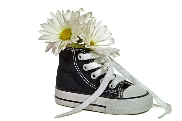 在运动鞋的雏菊 — 图库照片