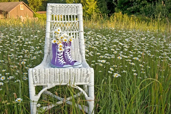 Purple sneakers on chair — Stock Photo, Image