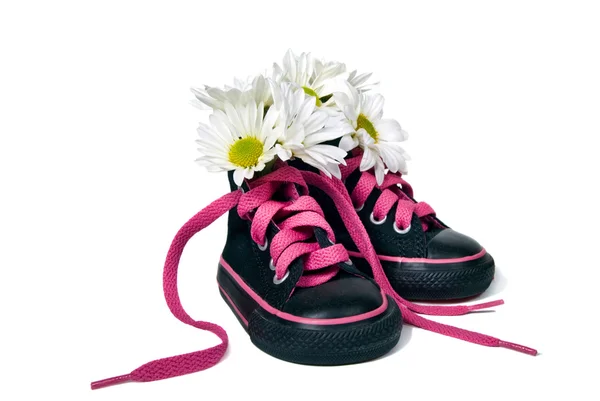 Daisy bouquet in sneakers — Stock Photo, Image