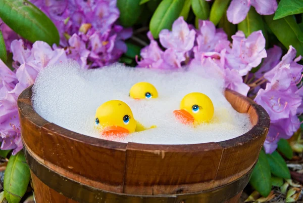 Köpük banyosu içinde ördekler — Stok fotoğraf