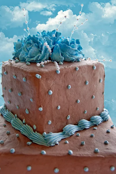 Trapsgewijs geschakelde chocolade taart — Stockfoto