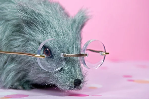 Rata con gafas — Foto de Stock