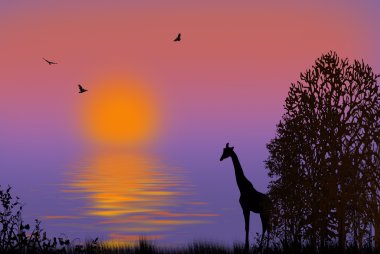 African Sunset clipart