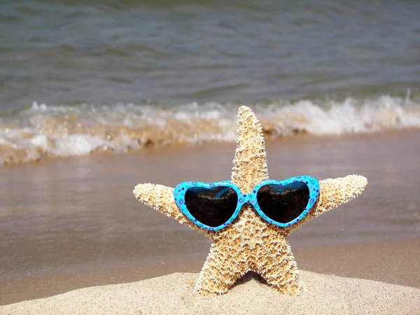 Starfish dragen van een zonnebril — Stockfoto