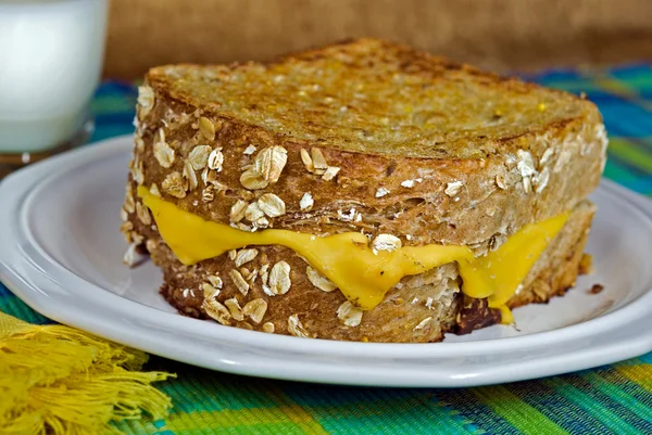 Жареный сыр на цельной пшенице — стоковое фото