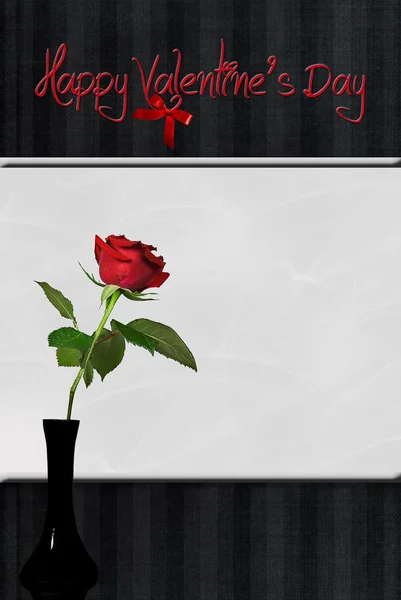 Valentine Rose — Stock Photo, Image