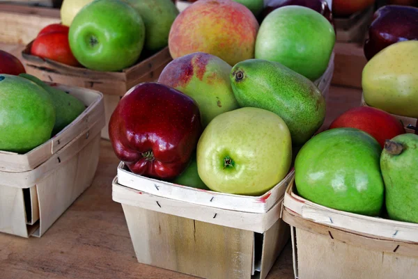 Variedade de maçãs — Fotografia de Stock