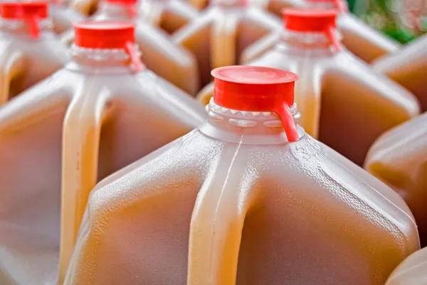 Apple cider in gallon jug — Stock Photo, Image