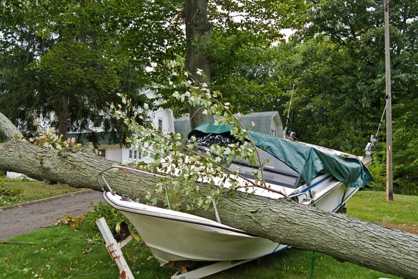 Tree crushing power boat