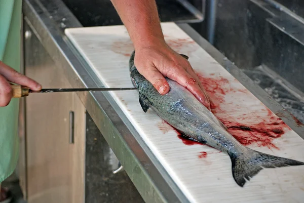 Hombre limpiando salmón —  Fotos de Stock