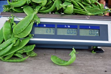 Sugar peas on scale clipart