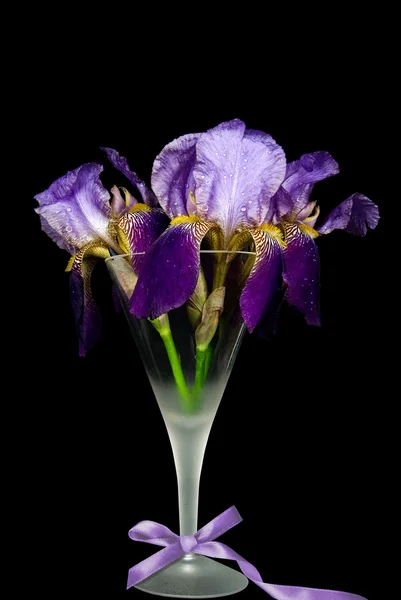 脚付きグラスのアイリス花束 — ストック写真