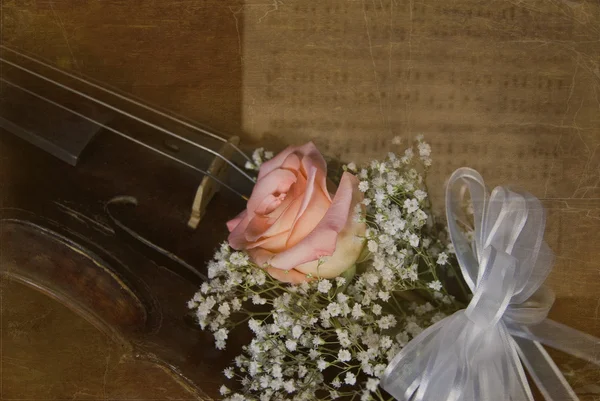 Вінтажна скрипка з трояндою — стокове фото