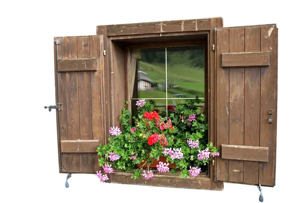 Geraniums in window box