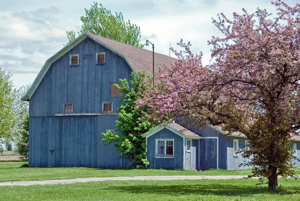 Синий амбар весной — стоковое фото