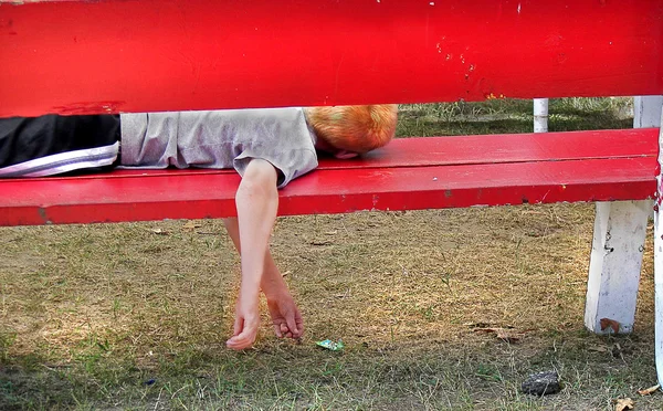 Boy sleeping on bench — Stock Photo, Image