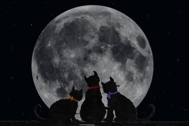 Cats with full moon clipart