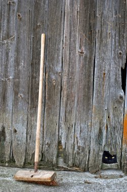 Barn cat with broom clipart