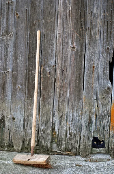 Gato de celeiro com vassoura — Fotografia de Stock
