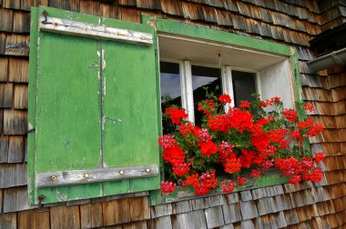 Red geraniums in window box clipart