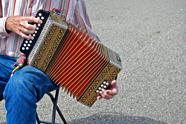 Ročník akordeon — Stock fotografie