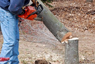 Man using chain saw clipart