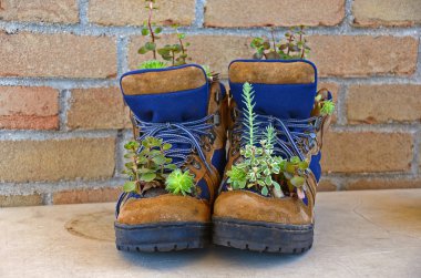 Work boot planter clipart