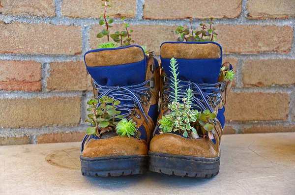 Arbete boot planter — Stockfoto
