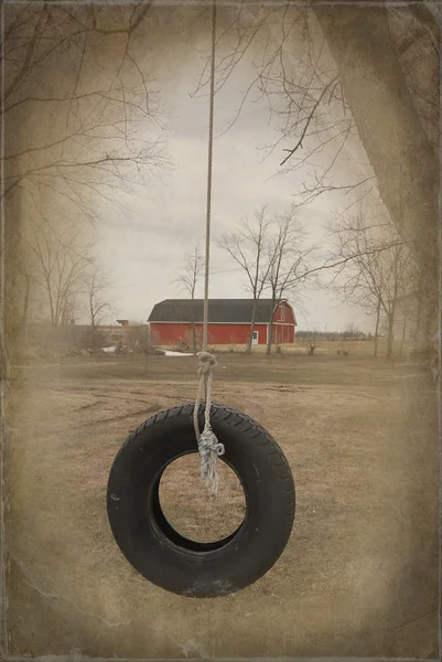Balanço de pneu velho — Fotografia de Stock