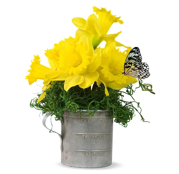 Butterfly on daffodil bouquet — Stock Photo, Image