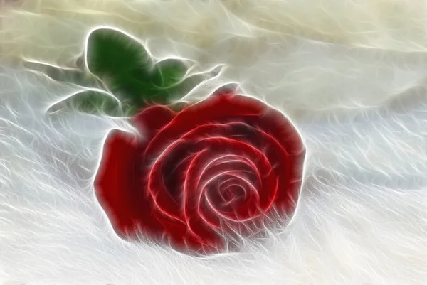 Fractal rose on fur — Stock Photo, Image