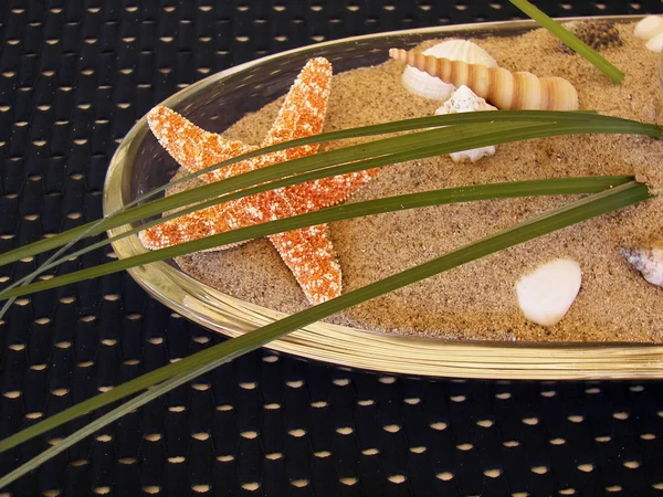 Starfish in dish with sand — Stock Photo, Image