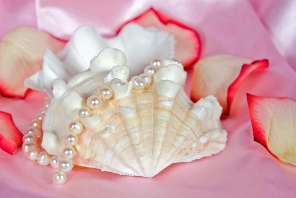 Pérolas e pétalas de rosa com concha — Fotografia de Stock