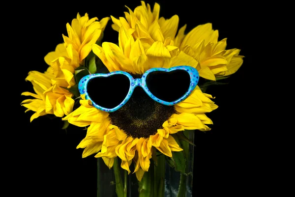 Zonnebril op zonnebloem — Stockfoto