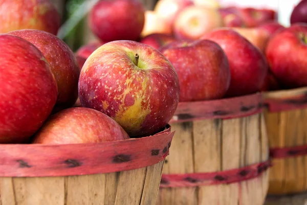 Olgun kırmızı elmalar — Stok fotoğraf