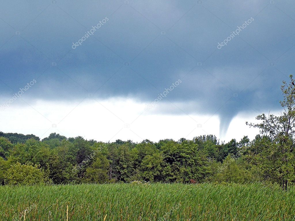 Waterspout over wetlands
