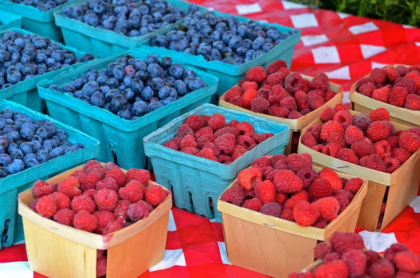 覆盆子和蓝莓 — 图库照片