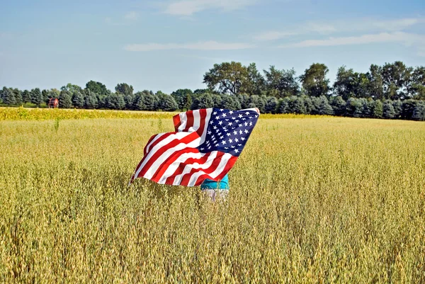 Bandeira no campo de trigo — Fotografia de Stock