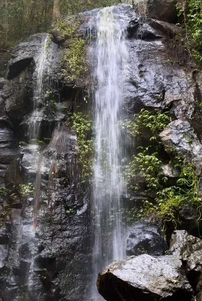 şelaleler bunya dağlar queensland